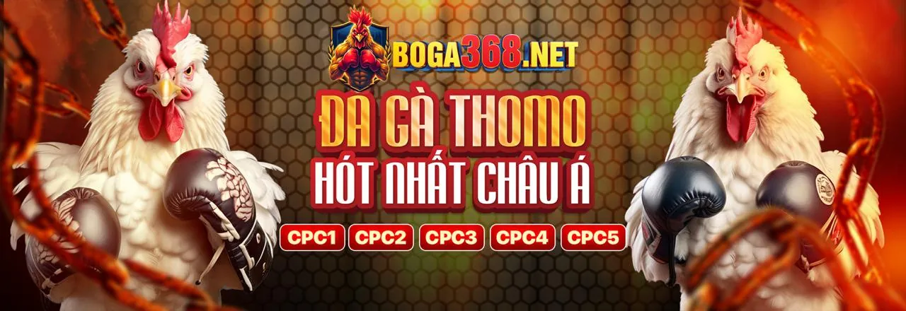 Sân đá gà kịch tính tại 888casino đăng ký